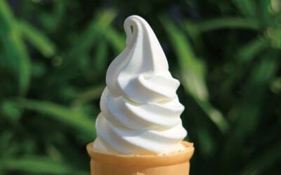 Essential Ingredients in Soft Ice Cream Powder for Commercial Use