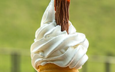Soluble Soft Serve Mixes for HoReCa Businesses
