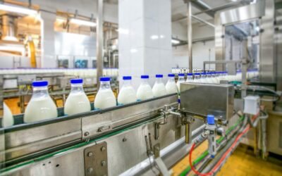 Understanding the Core Ingredients and Process of Industrial Milk Powder