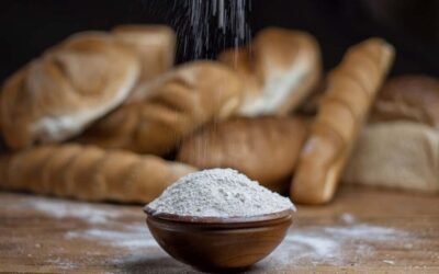 Supplier Susu Premiks Roti Indonesia