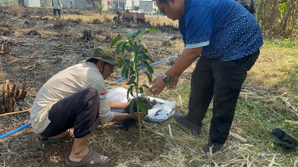 LNK employees and residents of Ketidur Hamlet plant tree seedlings together