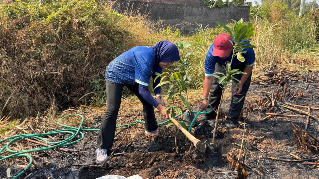 LNK employees plant and water tree seedlings in the area surrounding PT LNK